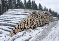 Круглый лес на строительство срубов с доставкой